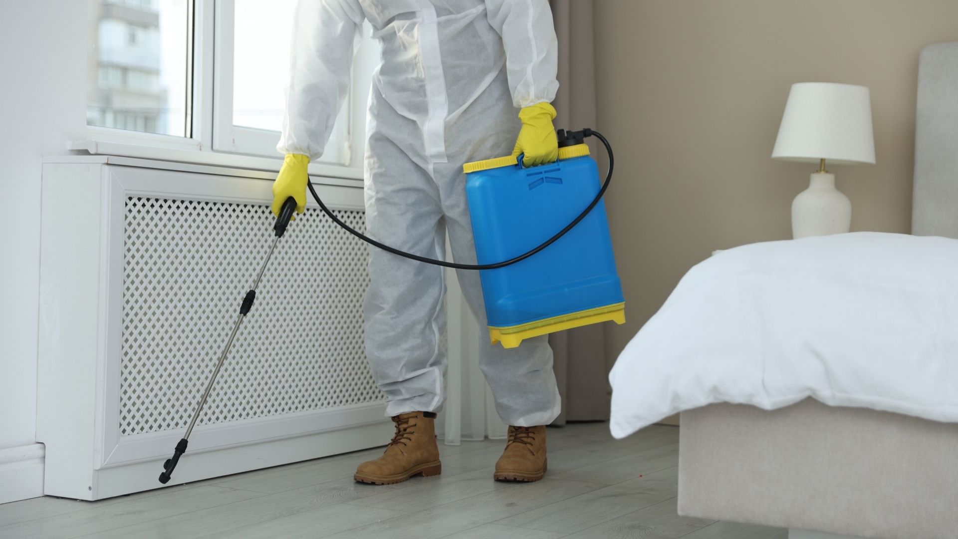 Technicien expert en dératisation